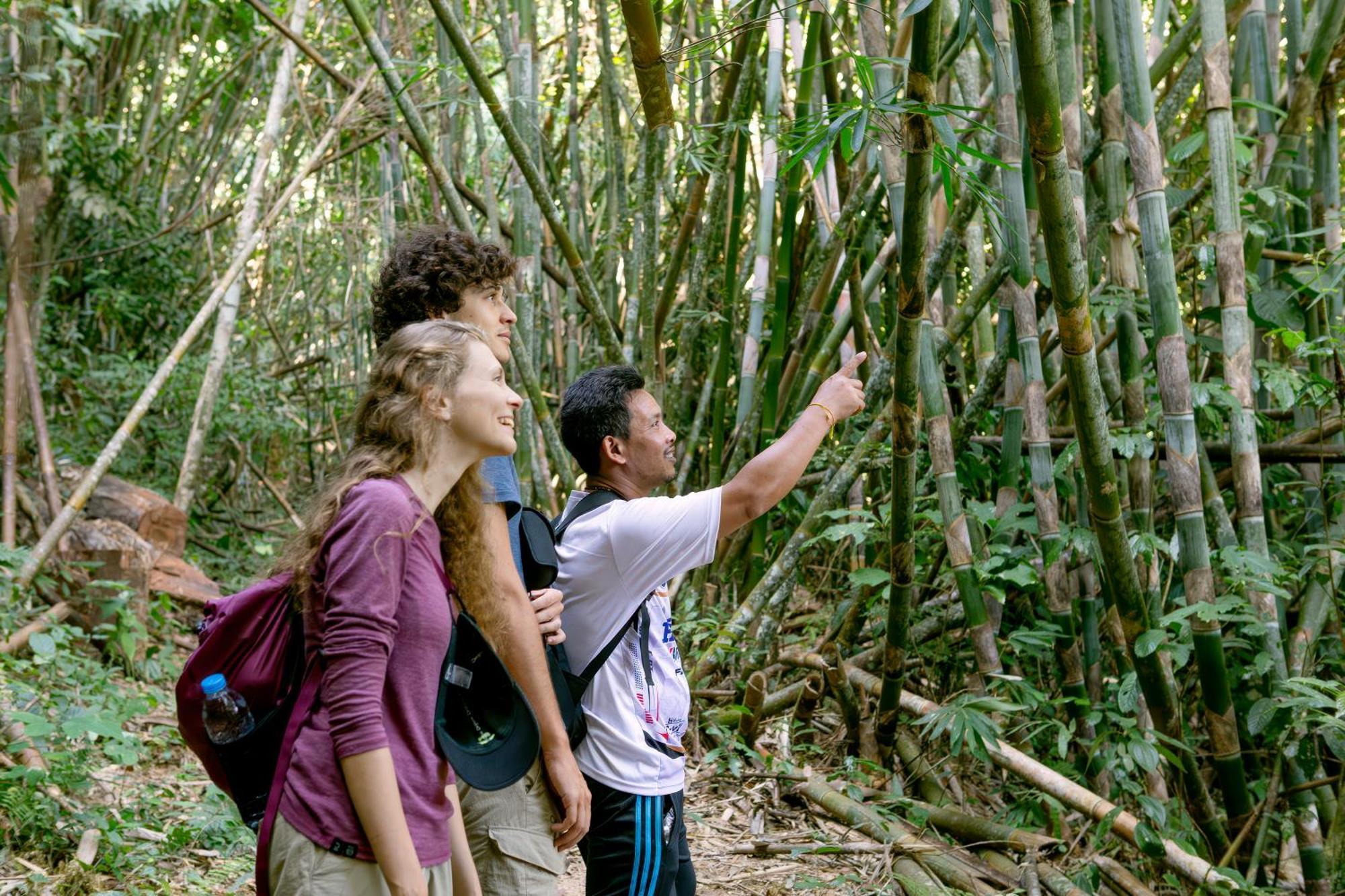Coco Khao Sok Hostel Khao Sok National Park Εξωτερικό φωτογραφία